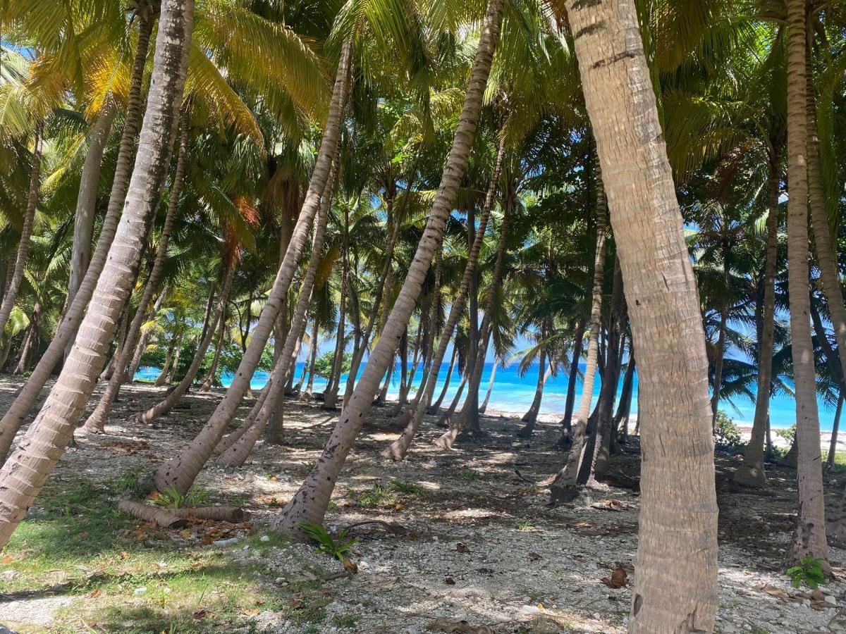 Beachfront Apartment, Quiet 4 Beds, 1 Bath, Ac, Wi-Fi, Hot Water, In Paraiso Near Los Patos المظهر الخارجي الصورة