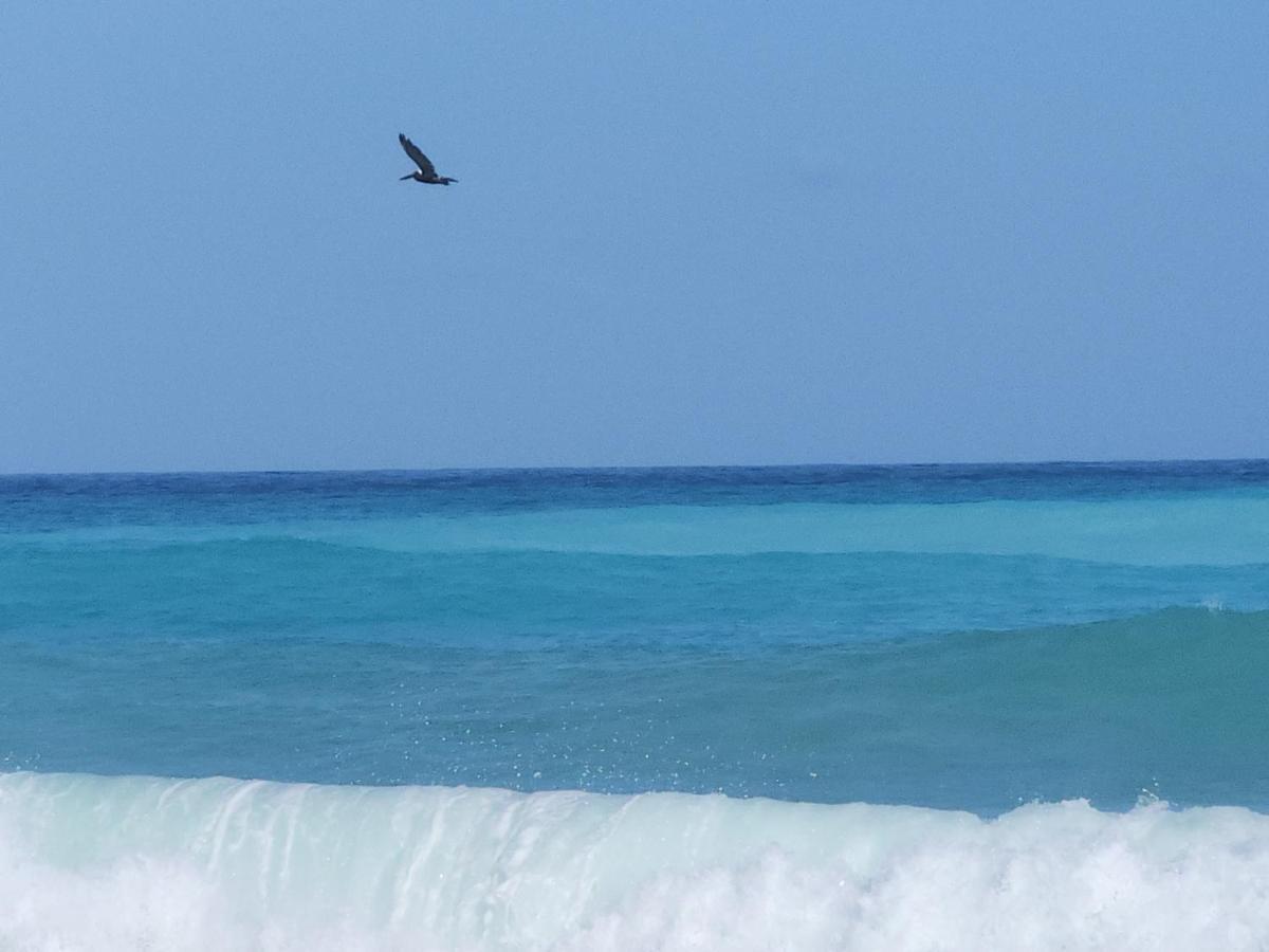 Beachfront Apartment, Quiet 4 Beds, 1 Bath, Ac, Wi-Fi, Hot Water, In Paraiso Near Los Patos المظهر الخارجي الصورة